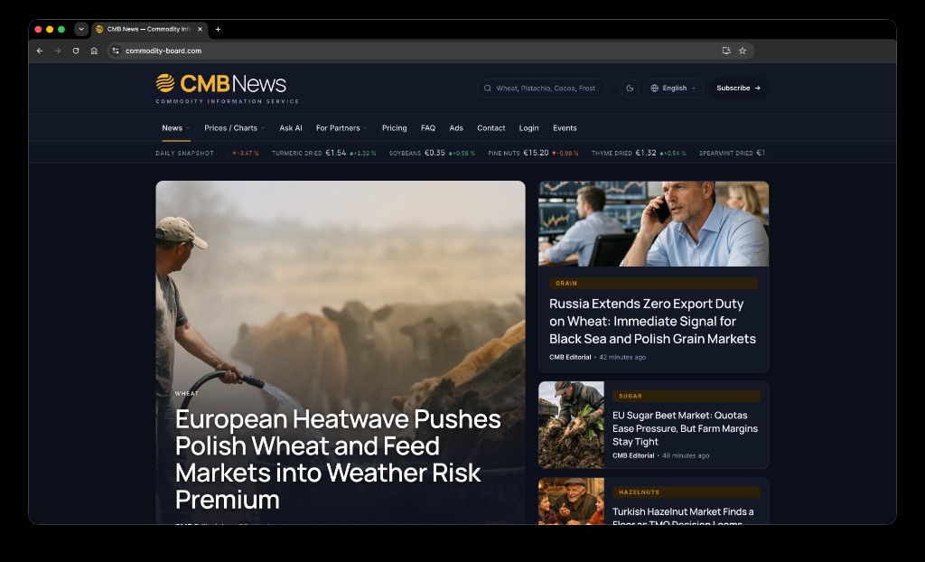 CMB News Startseite mit Cover Story, Daily Snapshot und Kategorie-Feeds
