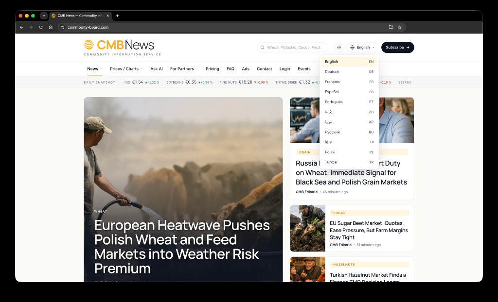 Sprachauswahl-Dropdown mit 11 Sprachen im Light Mode